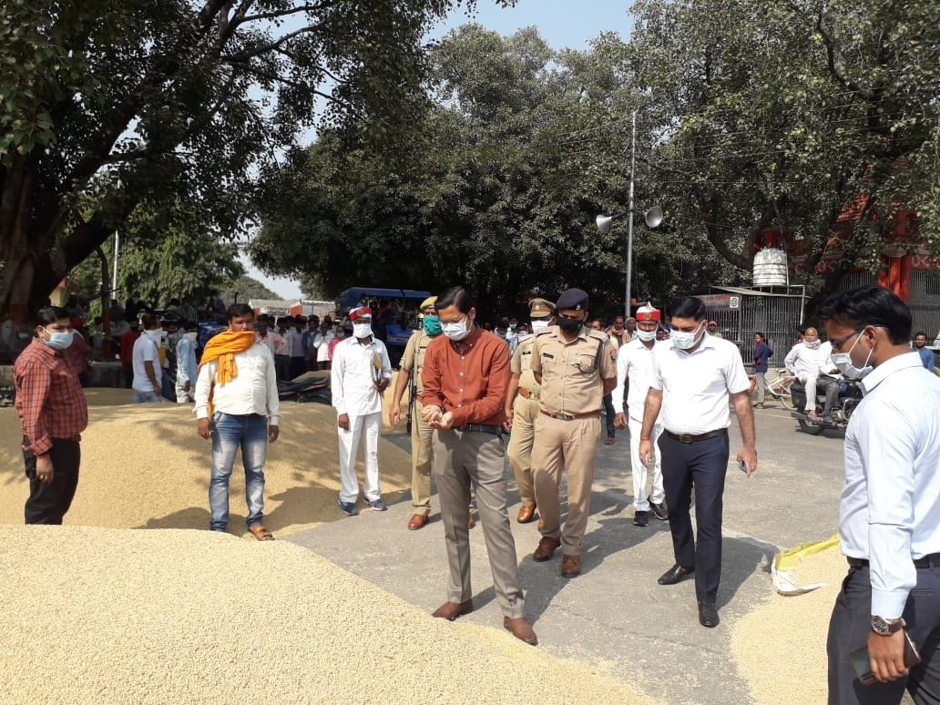 मंडी समिति में धान चेक करते डीएम पुलकित खरे मंडी समिति में धान चेक करते डीएम पुलकित खरे