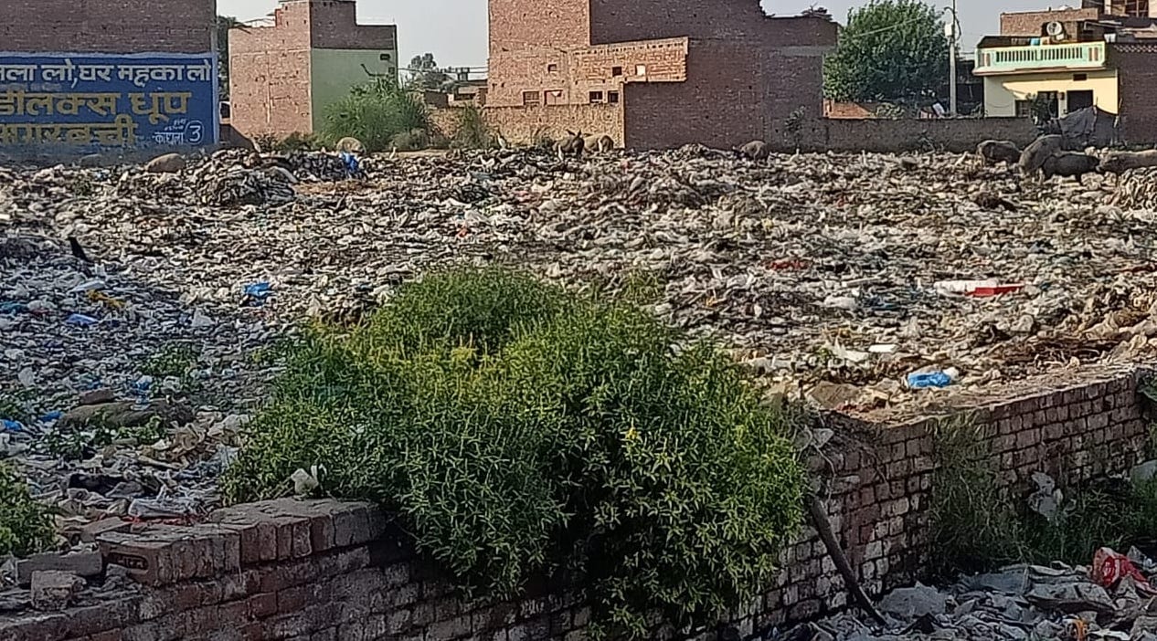 कांधला बाईपास पर फैली गंदगी कांधला बाईपास पर फैली गंदगी