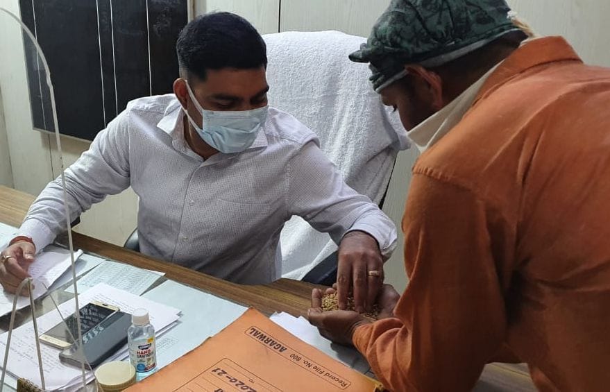 मंडी समिति कार्यालय में सिटी मजिस्ट्रेट को धान चेक कराता किसान। मंडी समिति कार्यालय में सिटी मजिस्ट्रेट को धान चेक कराता किसान।