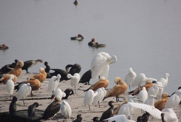 Dehradun’s Asan Conservation Joins The International Wetland Site