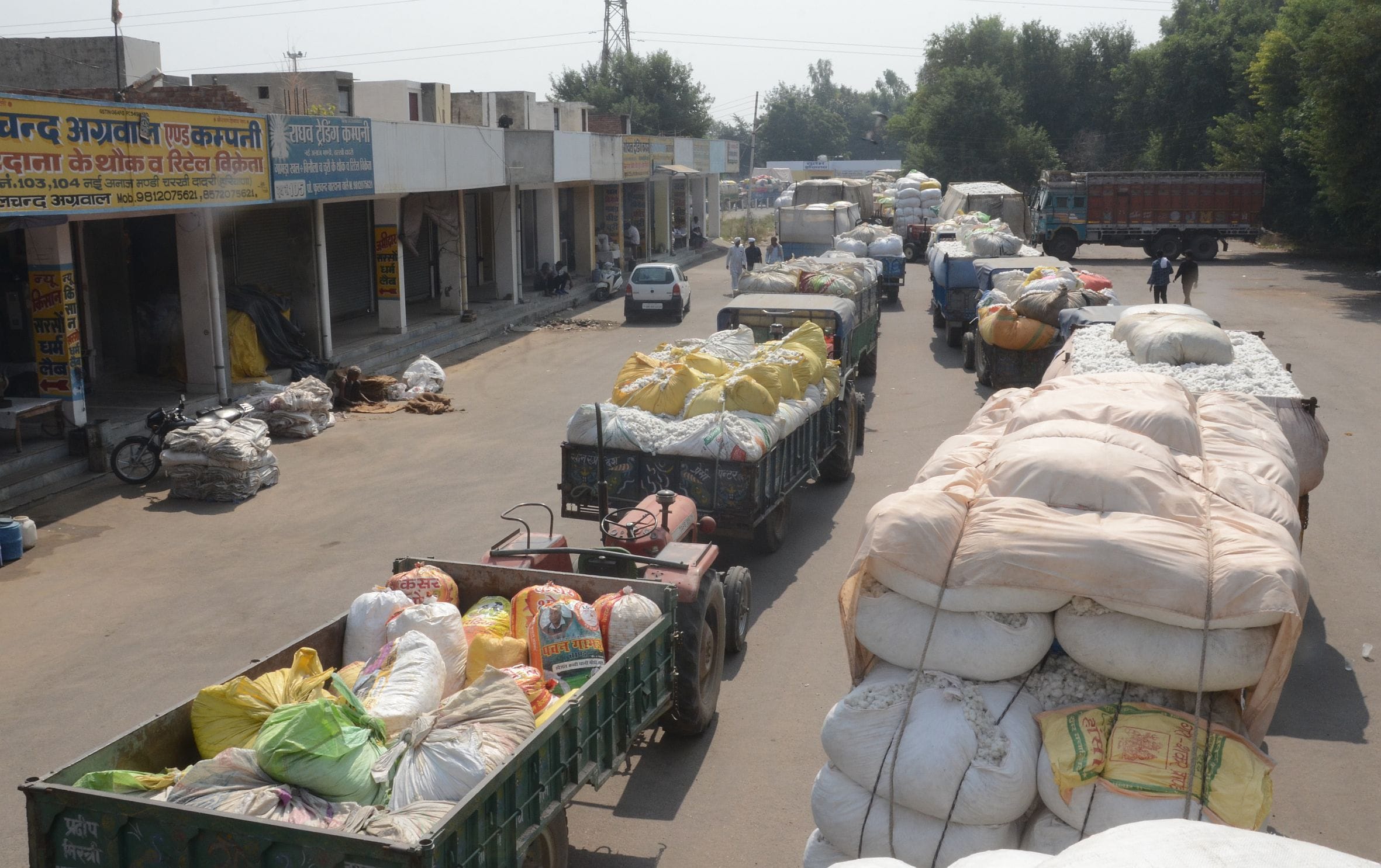 Farmers upset over discontinuing purchase of cotton Farmers upset over discontinuing purchase of cotton