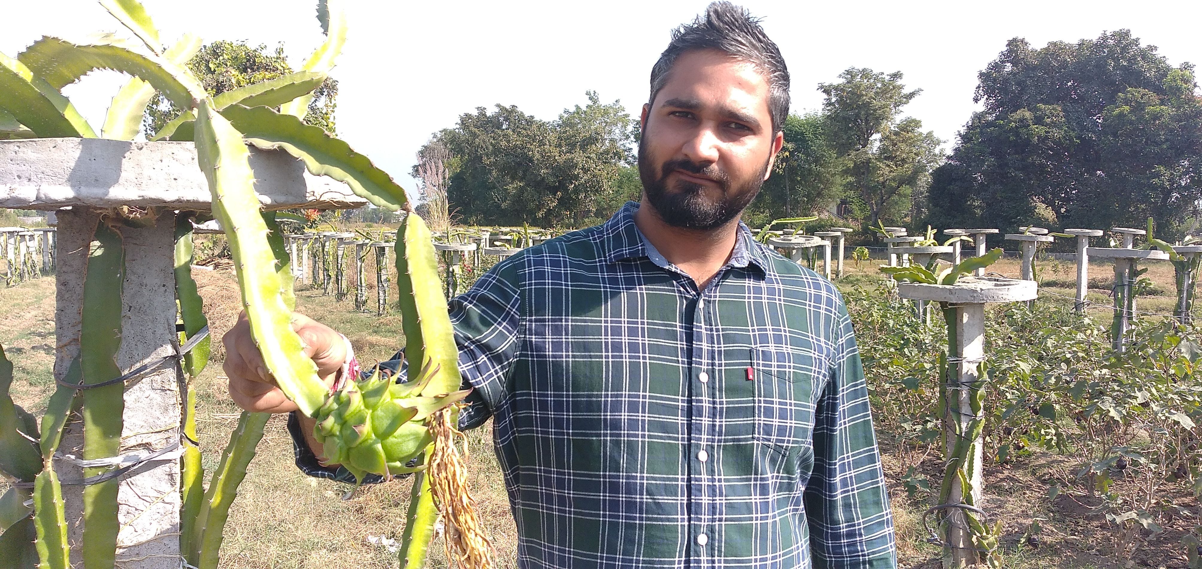 कठुआ में उगाए ड्रैगन फ्रूट के बारे में जानकारी देते किसान दीपक गुप्ता।