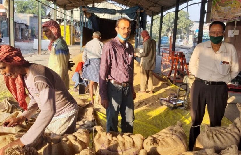 रद्रपुर गल्ला मंडी में आरएफसी के केंद्र पर धान बेचता किसान।