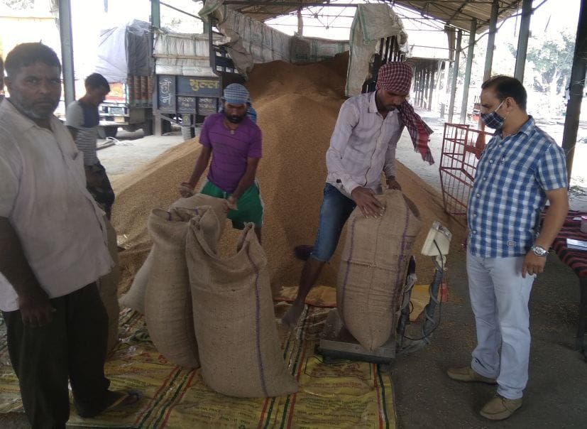 रुद्रपुर गल्ला मंडी में आरएफसी के केंद्र पर धान तौलते पल्लेदार। रुद्रपुर गल्ला मंडी में आरएफसी के केंद्र पर धान तौलते पल्लेदार।