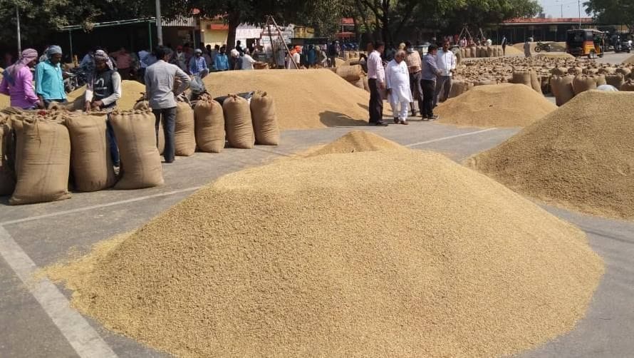 Dhan Khareed Scam - नेताओं और अफसरों ने भी बना ली समितियां, कैसे रुके धान  खरीद का खेल - Pilibhit News