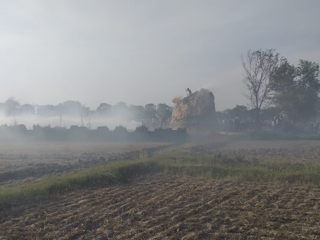 पलवल के एक गांव में पराली जलने से उठता धुआं। पलवल के एक गांव में पराली जलने से उठता धुआं।