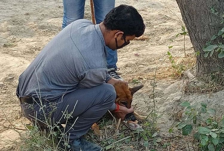 घाटमपुर में निठारी जैसा कांड: छह साल की मासूम से सामूहिक दुष्कर्म, दिल निकालकर खाया, गला काटकर सिर फोड़ा 5 बच्ची की निर्मम हत्या का मामला
