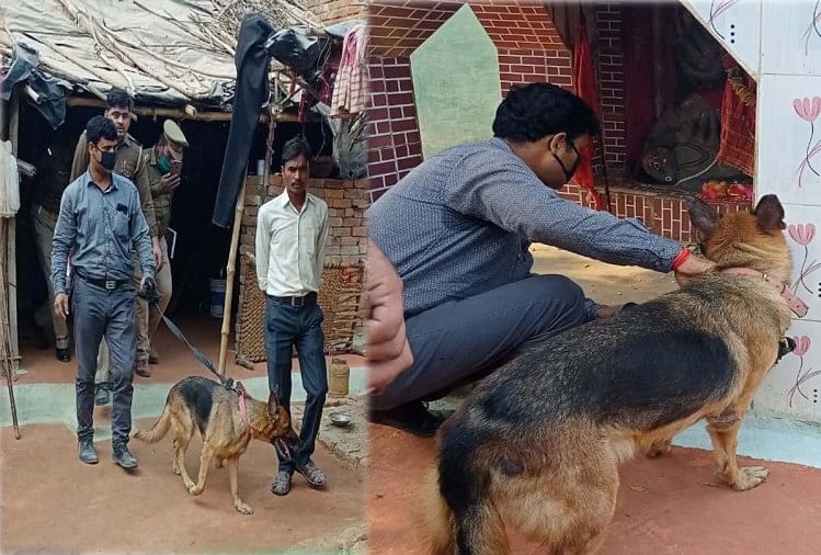 घाटमपुर में निठारी जैसा कांड: छह साल की मासूम से सामूहिक दुष्कर्म, दिल निकालकर खाया, गला काटकर सिर फोड़ा 6 बच्ची की निर्मम हत्या का मामला