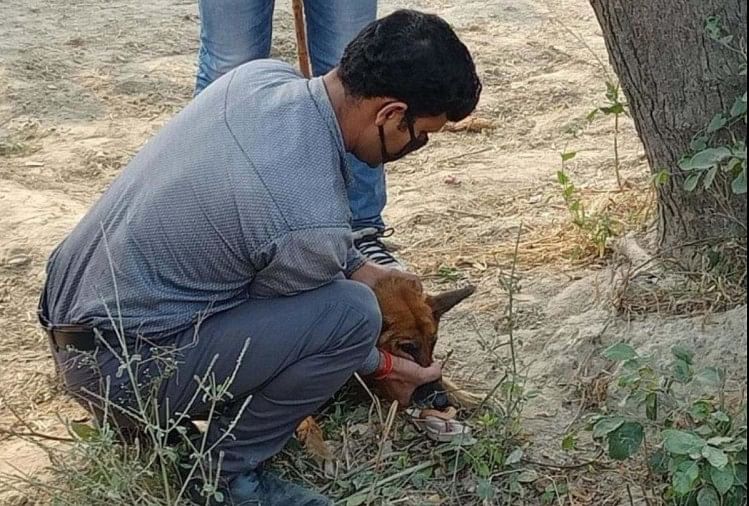 घाटमपुर में निठारी जैसा कांड: छह साल की मासूम से सामूहिक दुष्कर्म, दिल निकालकर खाया, गला काटकर सिर फोड़ा 1 घाटमपुर में सामूहिक दुष्कर्म के बाद बच्ची की निर्मम हत्या