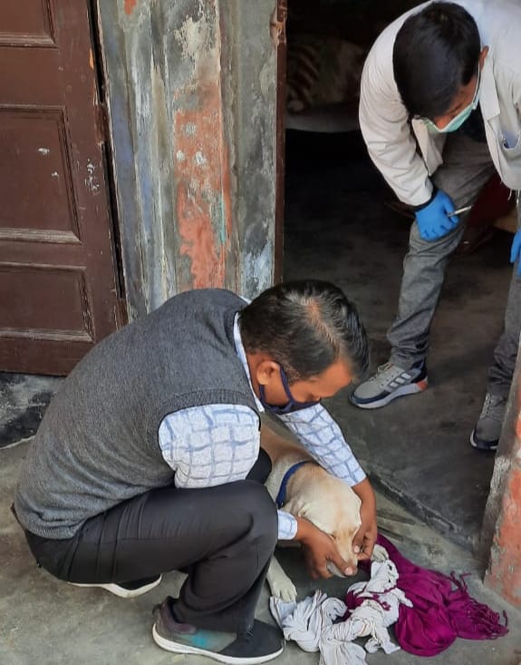घटना के बाद मकान की छत पर जांच पड़ताल करती डॉग स्क्वायड घटना के बाद मकान की छत पर जांच पड़ताल करती डॉग स्क्वायड
