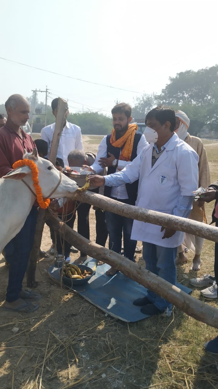 सादात ब्लाक के इब्राहीमपुर में गोवंश को गुड़ व फल खिलाते खंड विकास अधिकारी और ग्राम प्रधान। सादात ब्लाक के इब्राहीमपुर में गोवंश को गुड़ व फल खिलाते खंड विकास अधिकारी और ग्राम प्रधान।