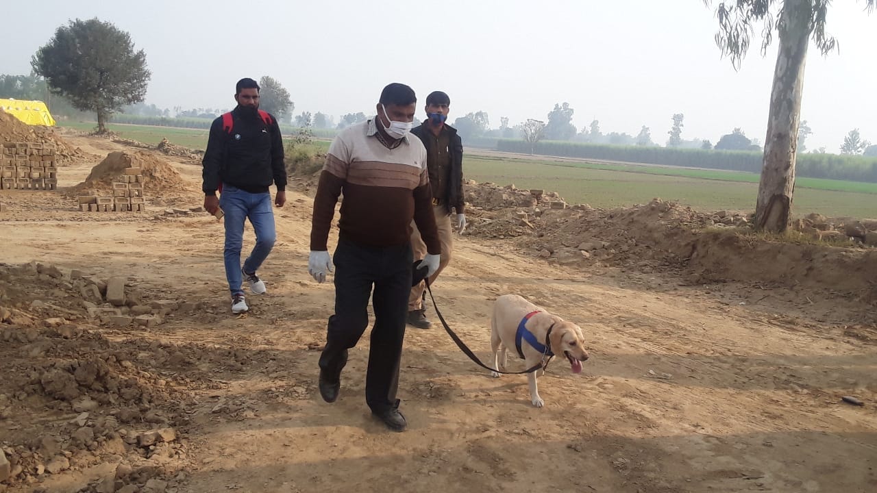गंगोह में जांच करती डाग स्क्वायड गंगोह में जांच करती डाग स्क्वायड