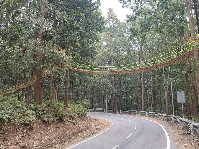 Nainital: 70 Meters Long Eco Bridge Designed To Save Reptiles From A Road Accident