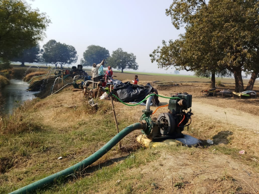 पंपसेट से हो रही फसलों की सिंचाई पंपसेट से हो रही फसलों की सिंचाई