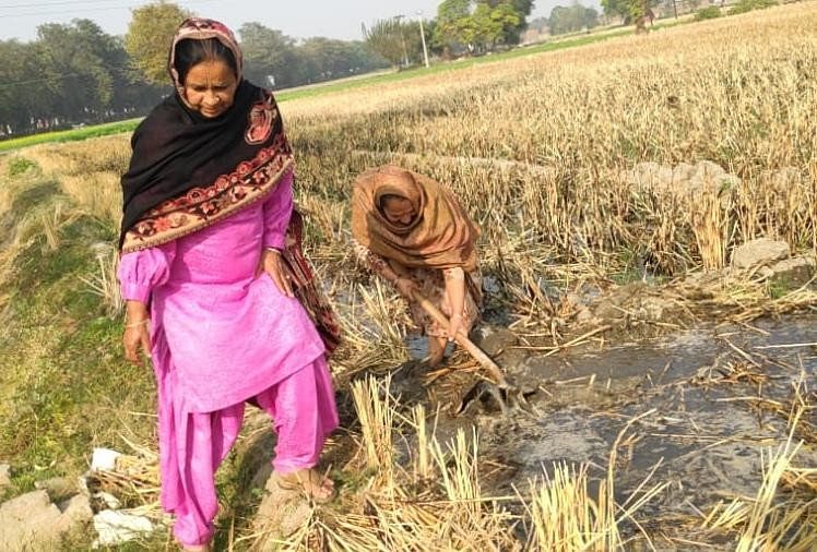 Kisan Andolan Today Latest News: Women Are Doing ...