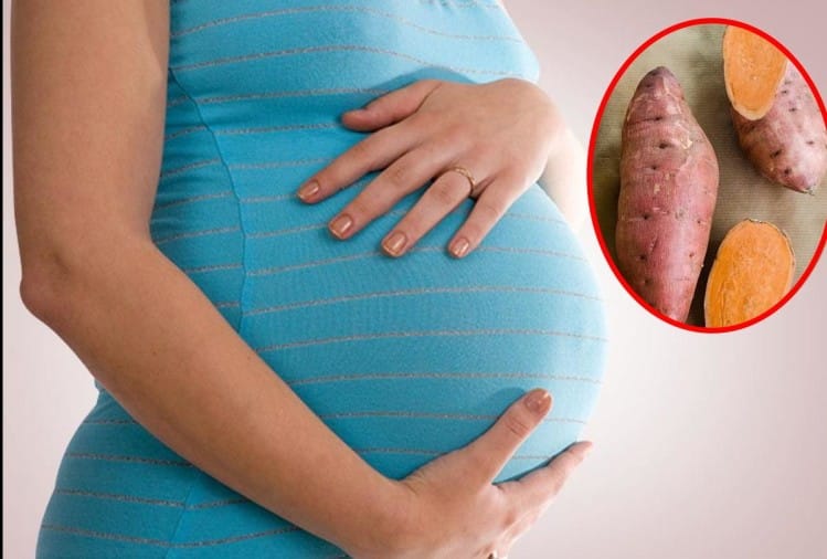Golden Sweet Potato Very Beneficial For Pregnant Women 
