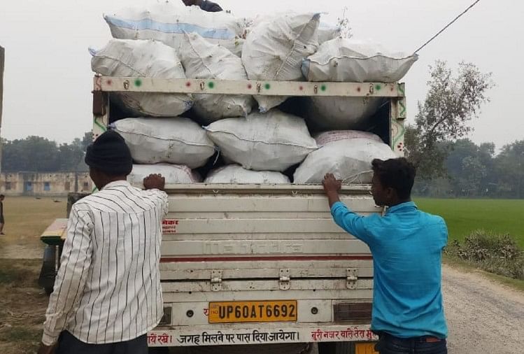 Buyer incurred full expenses Cabbage sent in a truck.
