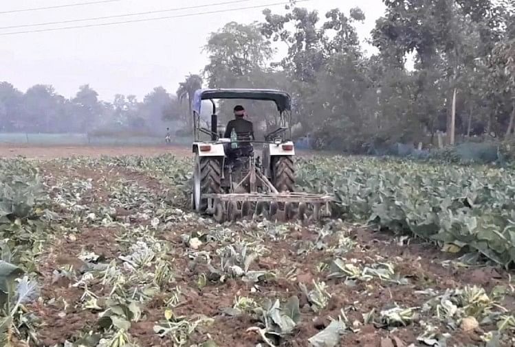 This is the whole case The farmer drives a tractor in his cabbage farm.