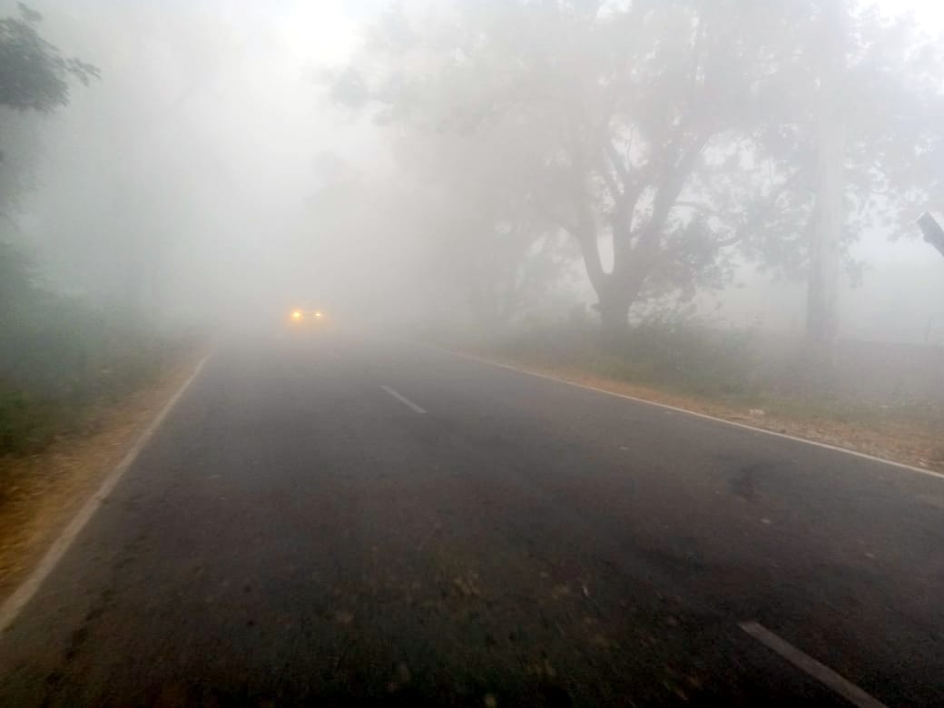बिजनौर में मंगलवार की सुबह छाया कोहरे से गुजरते वाहन।