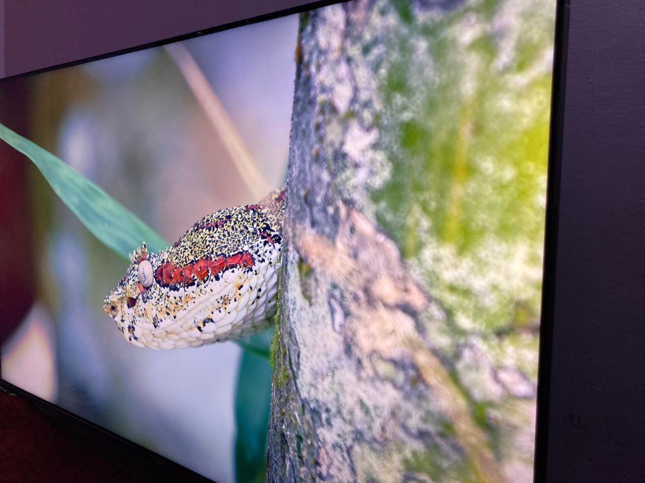 Mi QLED TV 4K 55 inch Review: किफायती QLED स्मार्ट टीवी की तलाश होगी पूरी