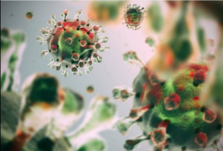 Coronavirus Strain To Cause More Deaths In Britain: Study - ब्रिटेन में  फैले कोरोना के नए स्ट्रेन से 2021 में हो सकती हैं ज्यादा मौतें, वैज्ञानिकों  ने चेताया - Amar Ujala Hindi ...