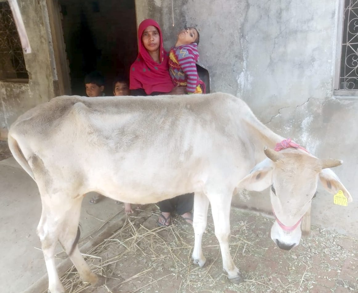 बिजनौर के गांव माधोवाला में गौवंश के पास अपनी मां की गोद में कौशल। बिजनौर के गांव माधोवाला में गौवंश के पास अपनी मां की गोद में कौशल।