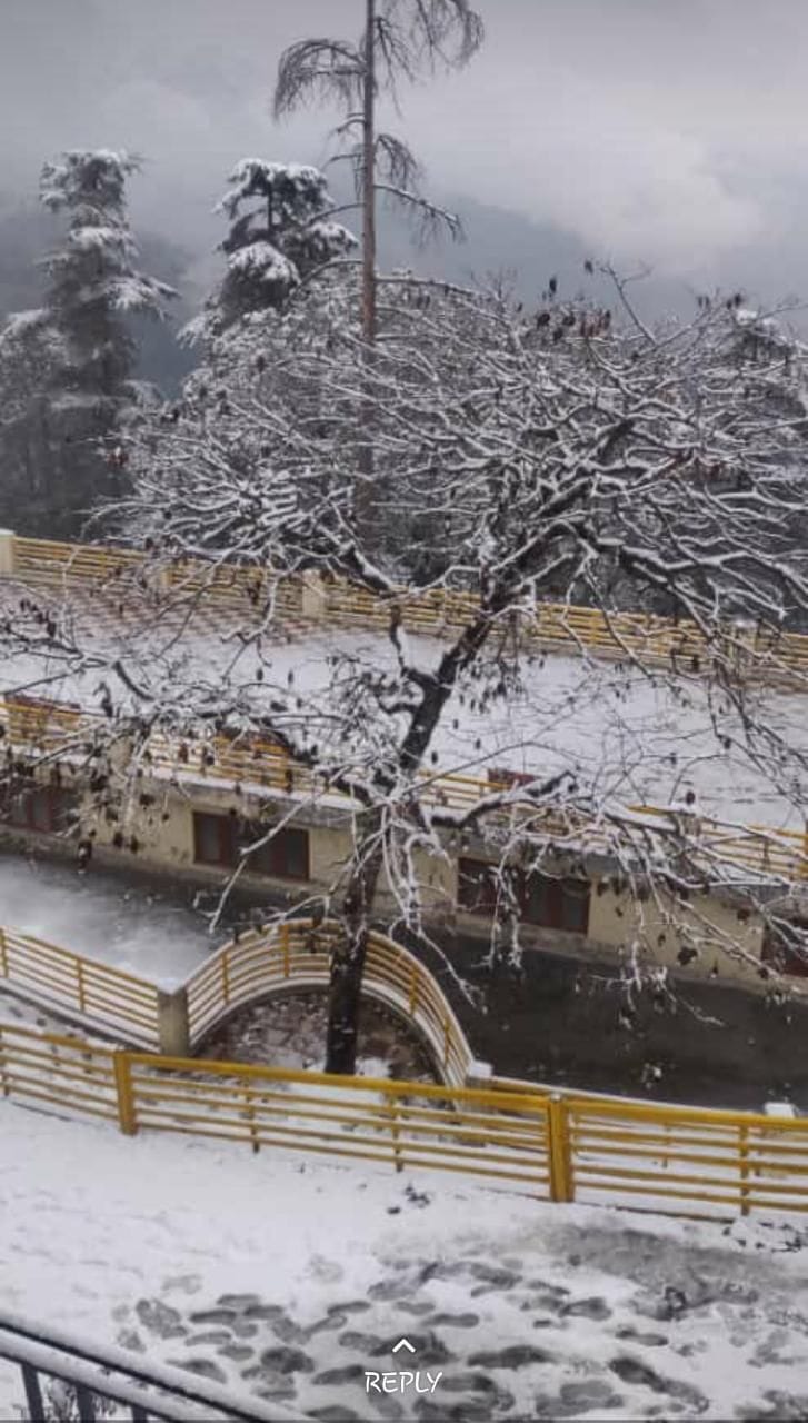 बर्फबारी के बाद कुछ यूं नजर आया चकराता का नजारा। बर्फबारी के बाद कुछ यूं नजर आया चकराता का नजारा।