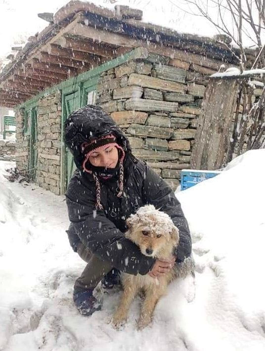 धारचूला के दारमा घाटी के पंचाचूली ग्लेशियर बेस कैंप में हिमपात के दौरान अपने पालतू कुत्ते के साथ 