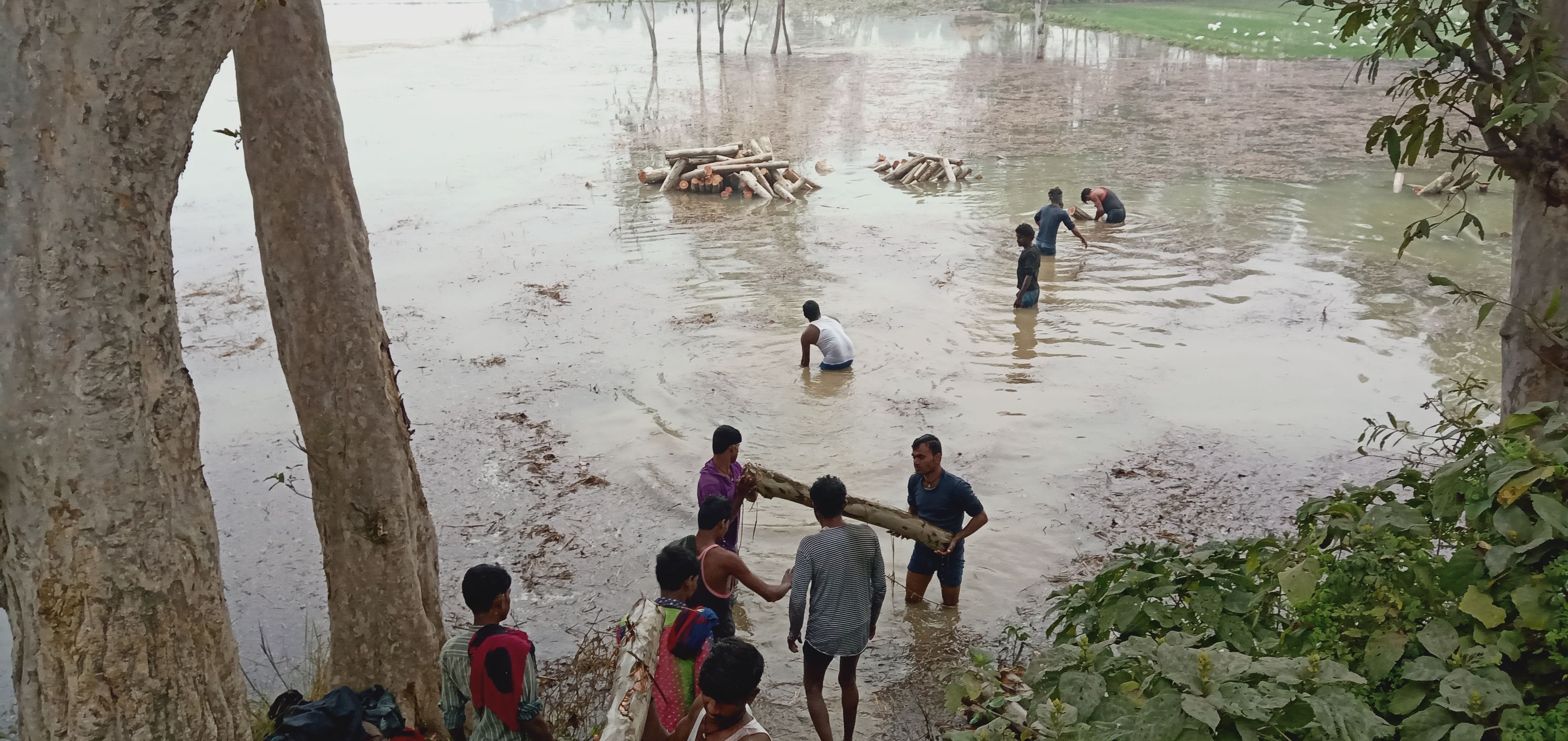 मेथीटीकुर के पास नहर में खांदी कटने से खेतों में भरा पानी ।