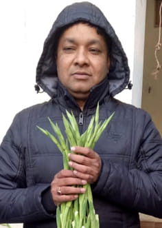 अश्वनी सैनी