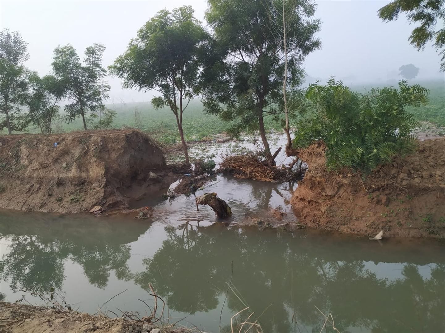 रजवाहे की कटी पटरी से खेतों में जाता पानी। रजवाहे की कटी पटरी से खेतों में जाता पानी।