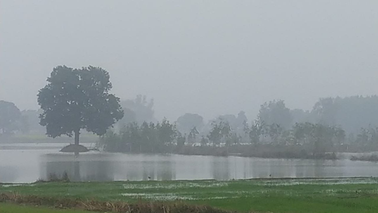 फोटो संख्या 10 - खांदी फटने से जलमग्न हुई गेहूं की फसल फोटो संख्या 10 - खांदी फटने से जलमग्न हुई गेहूं की फसल