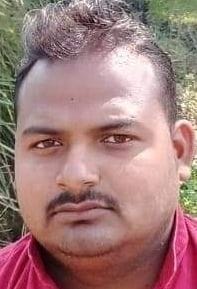 किसान मोहित श्रीवास्तव - गेंहू की फसल चट कर रहे अन्ना मवेशी