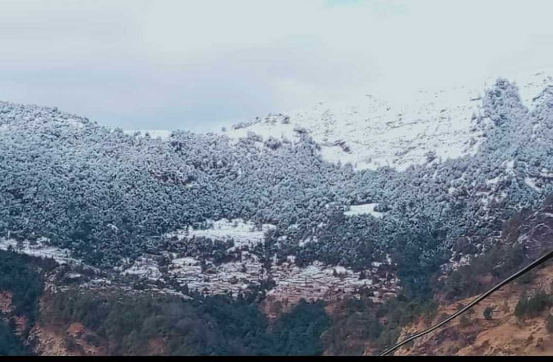 कपकोट के सुकुंडा में हुई बर्फबारी। संवाद न्यूज एजेंसी