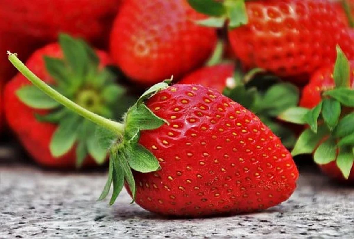 Health Benefits Of Strawberry Fruit In Hindi - स्ट्रॉबेरी के सेवन के छह  लाजवाब फायदे, विटामिन और कैल्शियम से होती है भरपूर - Amar Ujala Hindi News  Live