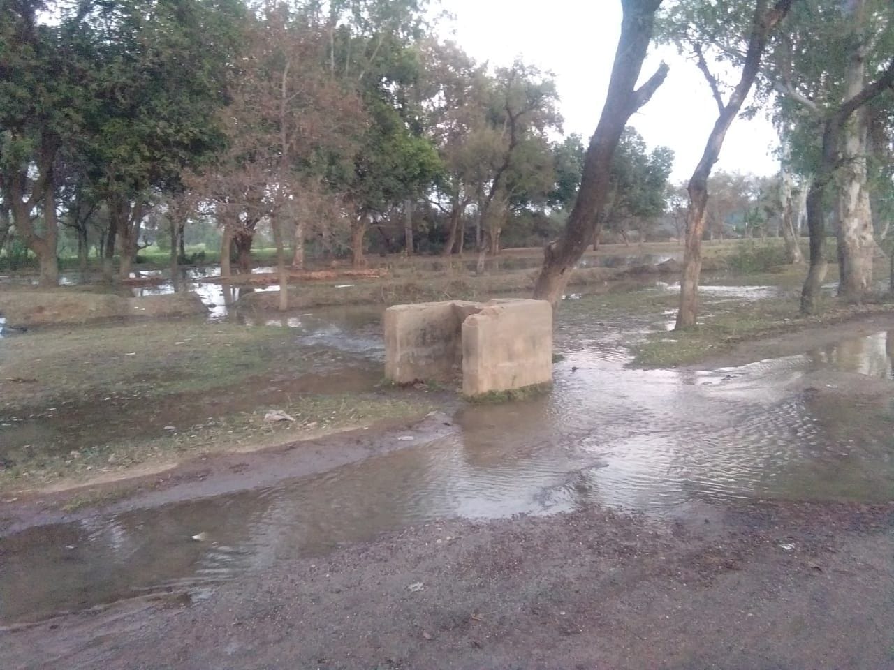 जामनी नहर का पानी सजनाम बांध की कालोनी में भरा