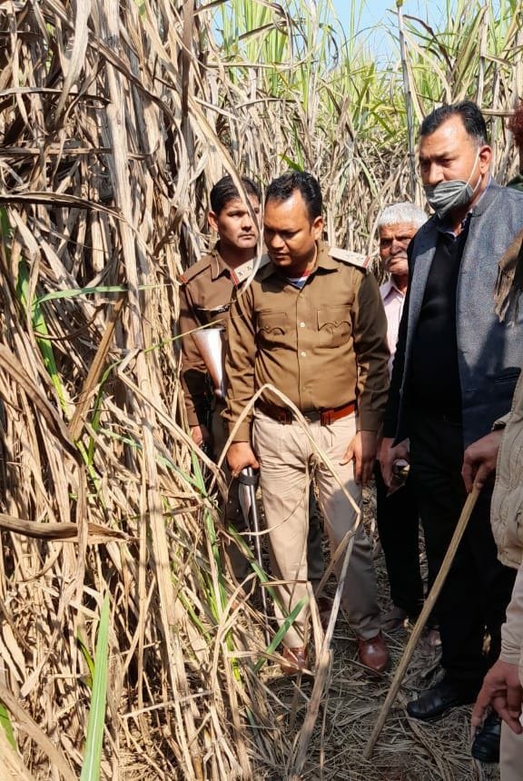 खटीमा के नौसर में गन्ने के खेतों को निरीक्षण करते तहसीलदार यूसुफ अली एवं वन विभाग टीम। खटीमा के नौसर में गन्ने के खेतों को निरीक्षण करते तहसीलदार यूसुफ अली एवं वन विभाग टीम।