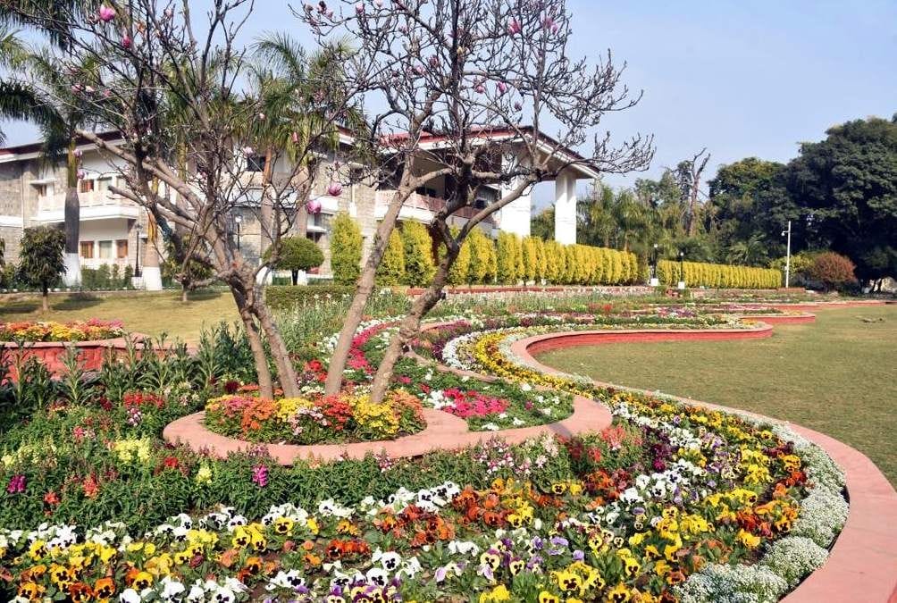 वसंत पंचमी पर फूलों से सजा राजभवन परिसर।            अमर उजाला