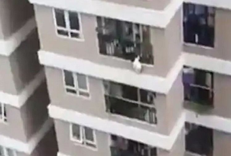 वियतनाम में 12वीं मंजिल से गिरी दो साल की बच्ची को डिलीवरी बॉय ने किया कैच