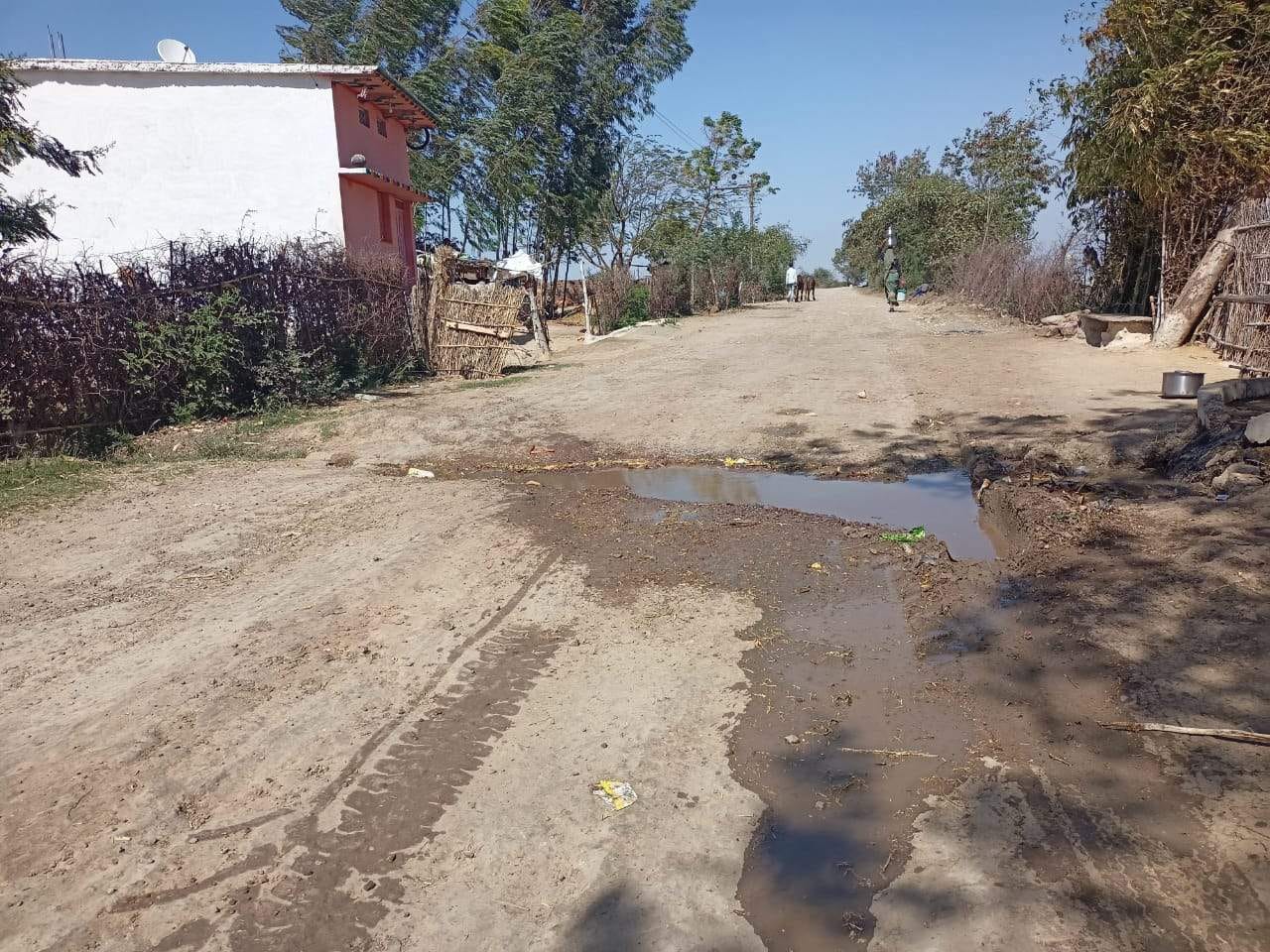 ुरयाना पारौल सड़क पर गड्ढों में भरा पानी।