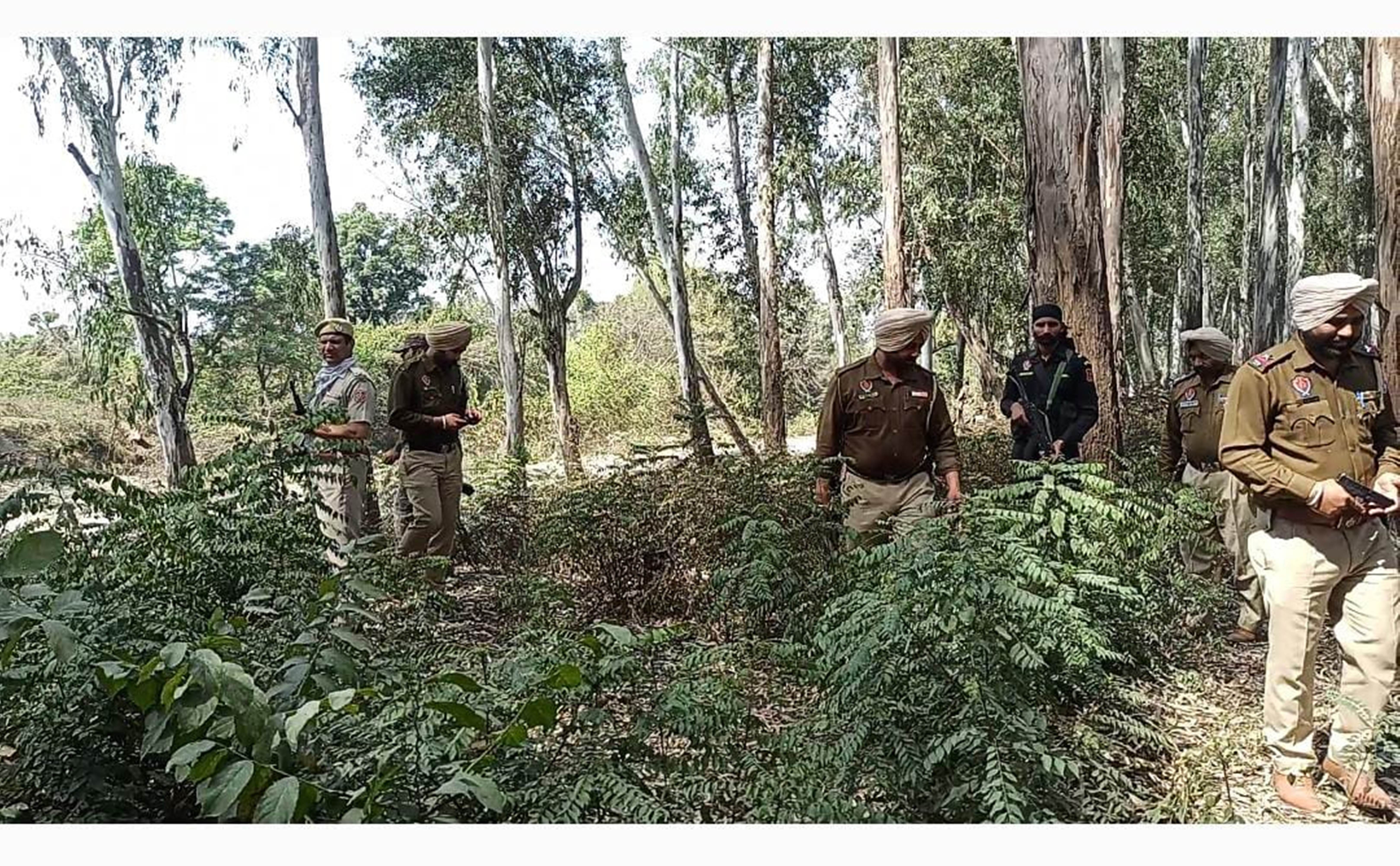 मकीमपुर के जंगल में सर्च करते पुलिस के जवान। संवाद मकीमपुर के जंगल में सर्च करते पुलिस के जवान। संवाद