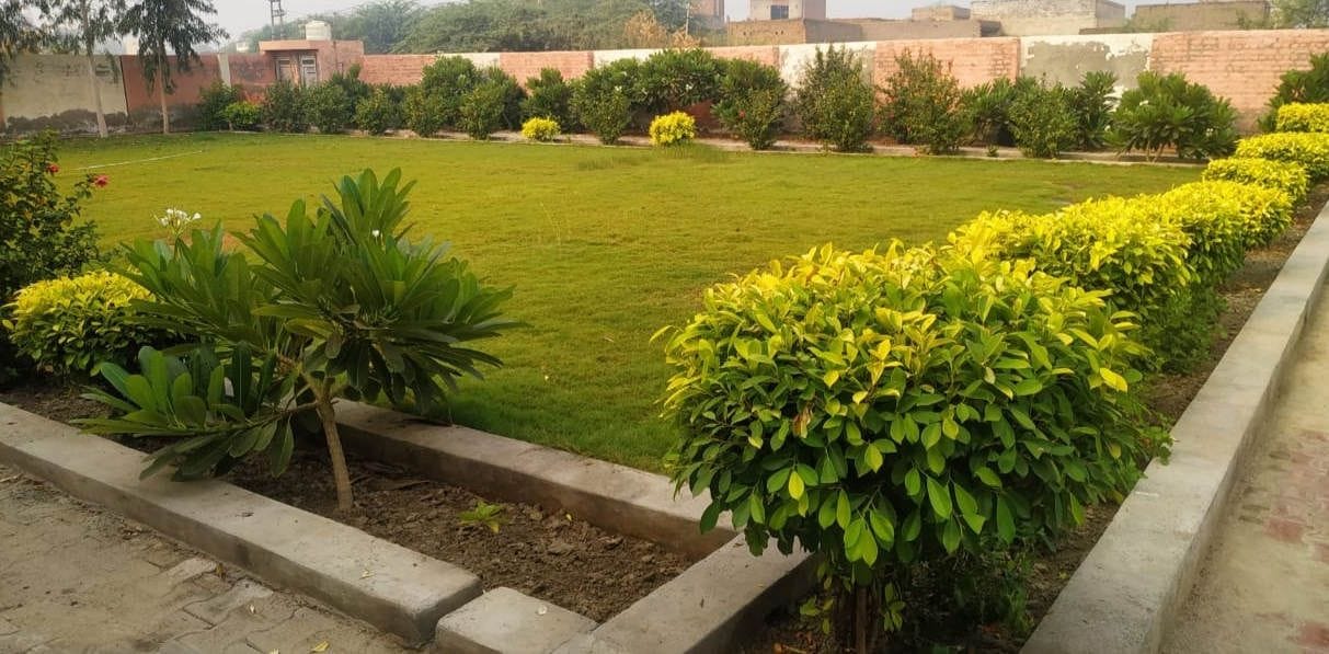  स्कूल में बनाया गया पार्क व लगे फूलदार पौधे।