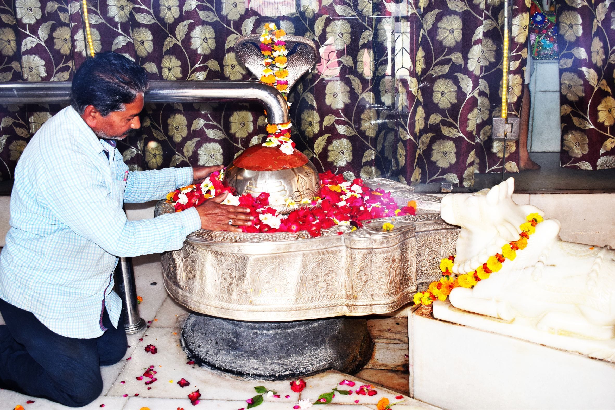 शाहजहांपुर में महाशिवरात्रि की पूर्व संध्या पर शिवलिंग का फूलों से शृंगार करता भक्त । संवाद