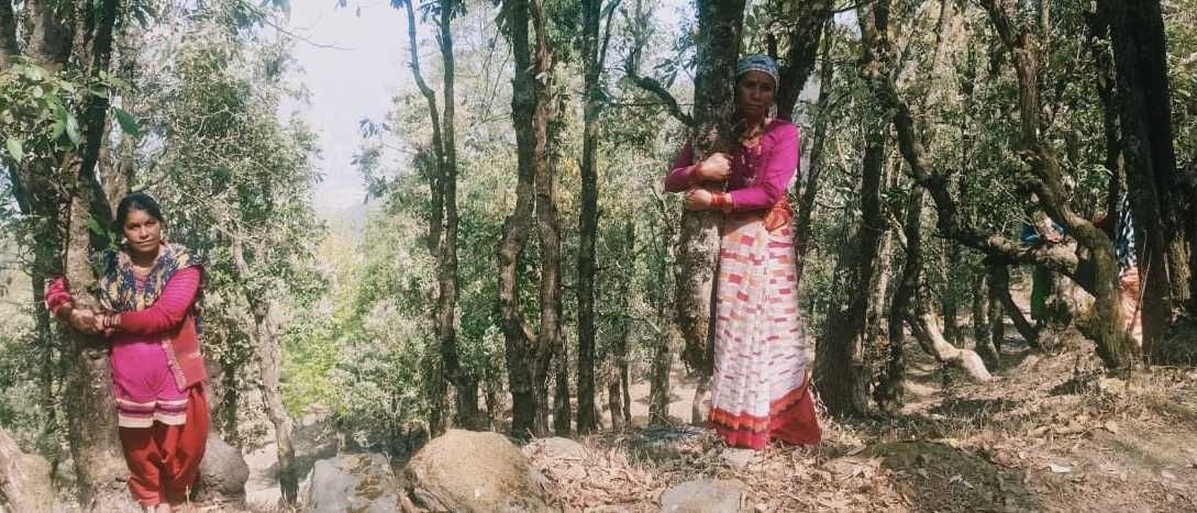 बागेश्वर के जाखनी गांव में बुधवार को भी महिलाओं ने चिपको की तर्ज पर पेड़ों से लिपटकर किया आंदोलन।