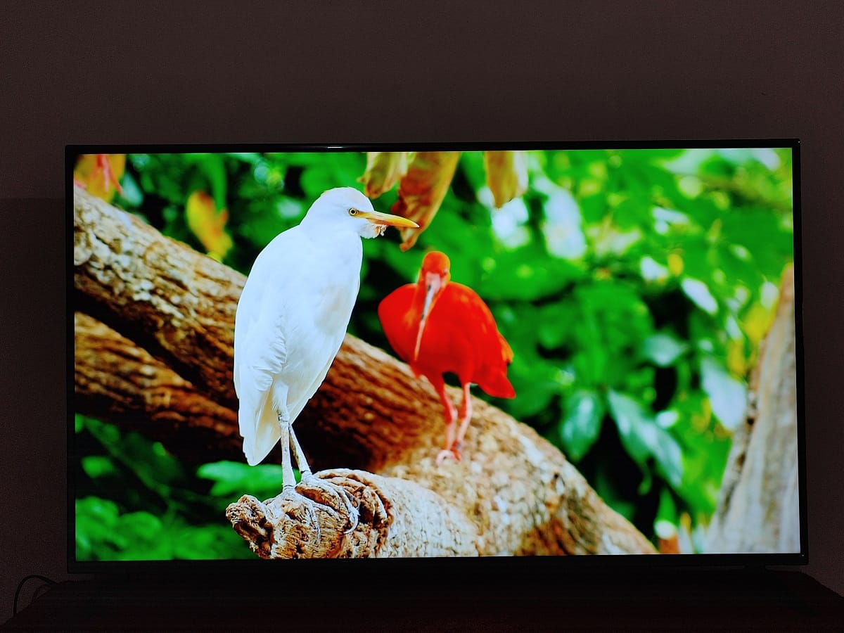 Redmi Smart TV X55 First Impression: तस्वीरों में देखें कैसा है रेडमी का पहला स्मार्ट टीवी