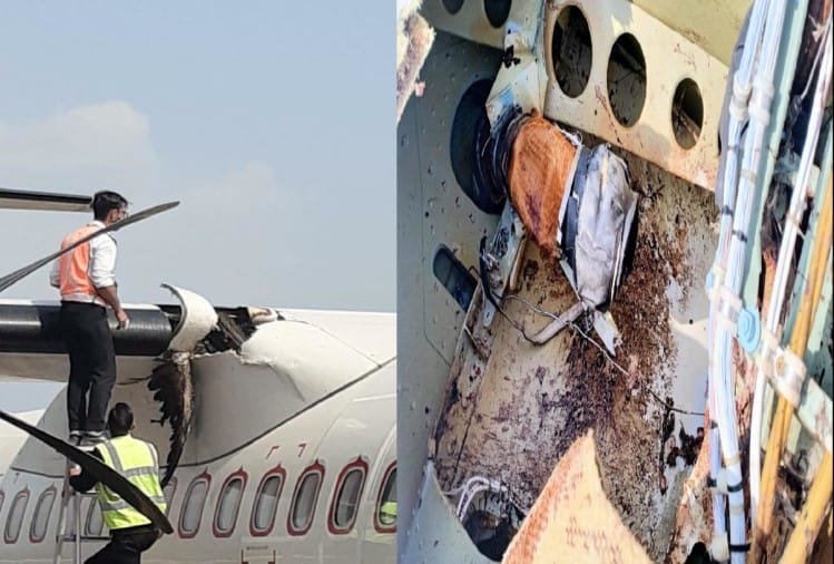 हिमाचल प्रदेश: गगल में विमान से टकराया पक्षी, बाल-बाल बचे 45 यात्री