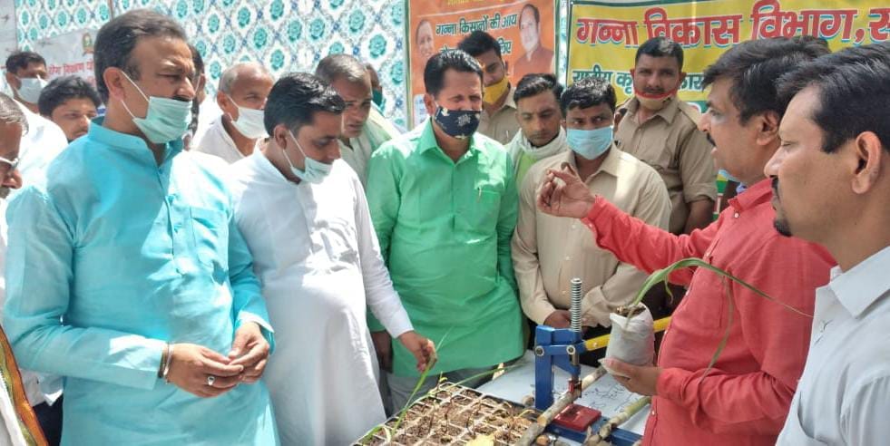 रामपुर मनिहारान खंड विकास कार्यालय पर कृषि प्रदर्शनी का अवलोकन करते विधायक देवेंद्र निम