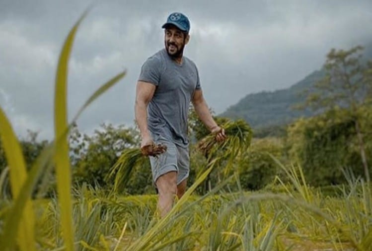 सलमान खान