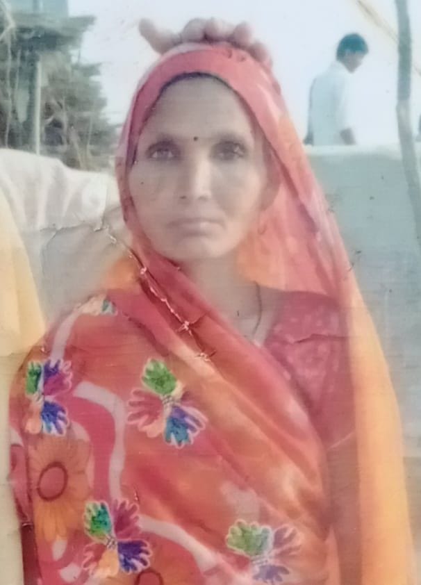 मृतक महिला का फाइल फोटो। मृतक महिला का फाइल फोटो।