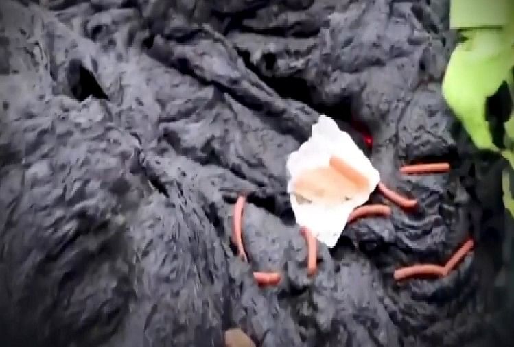 ज्वालामुखी के लावा पर खाना पकाते वैज्ञानिक